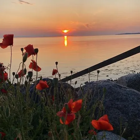 Hyggeligt Med Havudsigt * Nordenbro Vesteregn